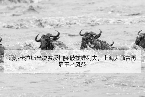 a-er-ka-la-si-ban-jue-sai-fan-pai-tu-po-zi-wei-lie-fu-shang-hai-da-shi-sai-zai-xian-wang-zhe-feng-fan-2-778.jpg