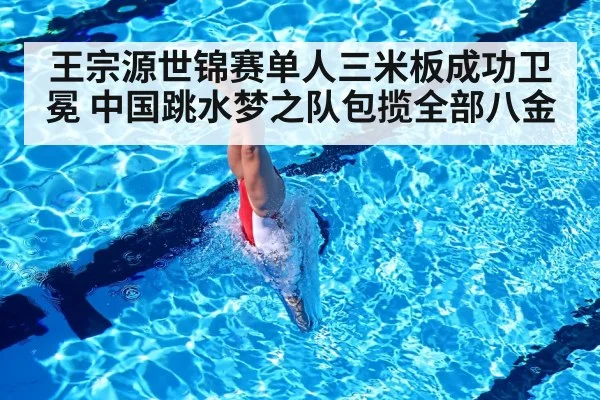 王宗源世锦赛单人三米板成功卫冕 中国跳水梦之队包揽全部八金